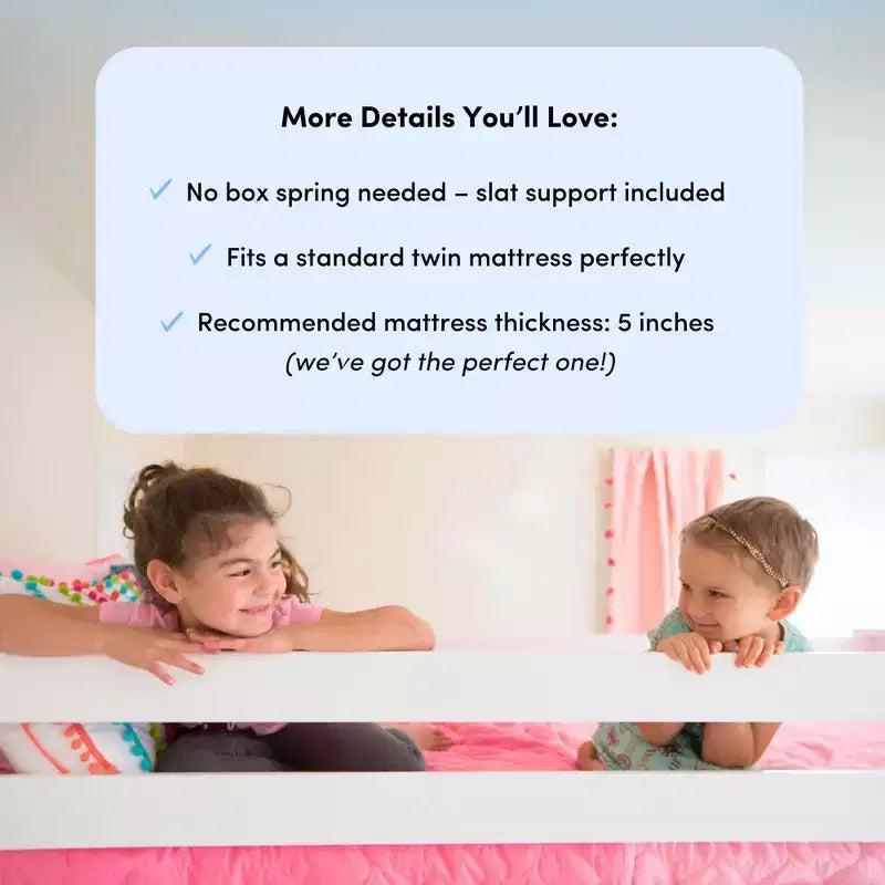 Max & Lily Lit superposé double sur toute la taille, Lits superposés en bois massif avec échelle pour enfants