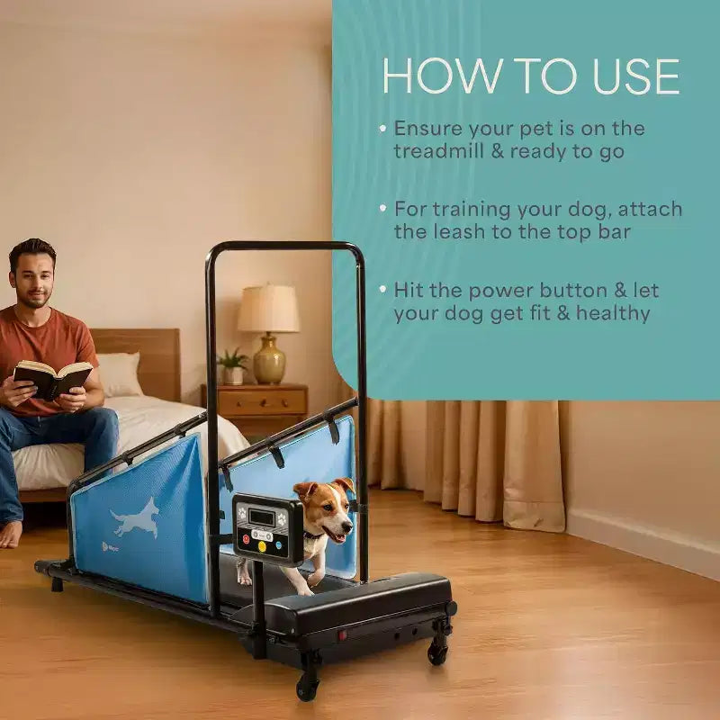 Tapis de course pour chiens LifePro PawRunner pour chiens de petite et moyenne taille – Tapis de course d'intérieur pour animaux jusqu'à 59 kg, tapis de course compact pour chiens pour la remise en forme et l'entraînement